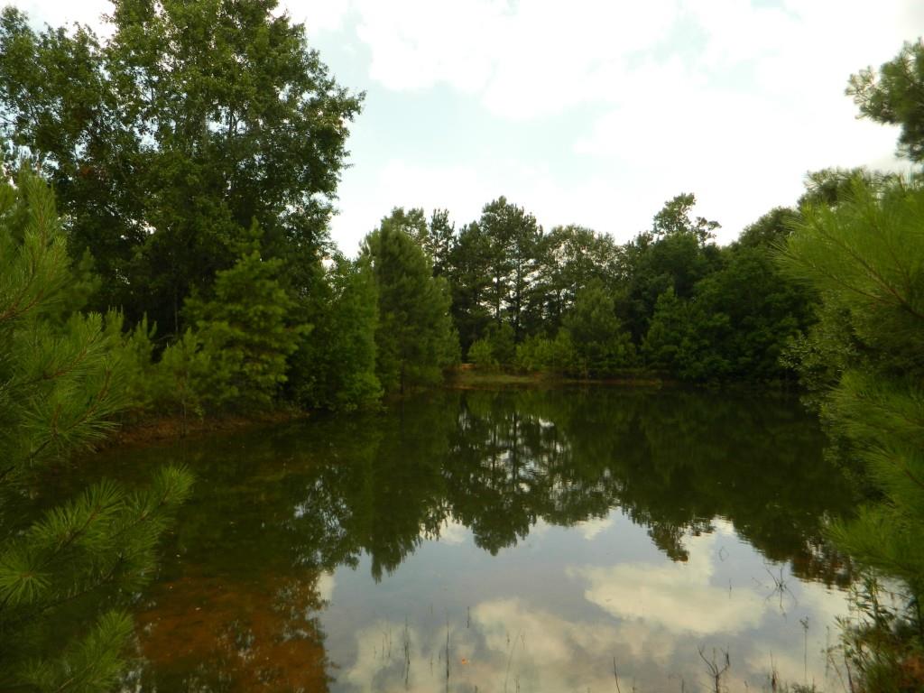 24375 Anglin Road Bush, LA 70431 - Photo 20 of 24 Gallery Image 20