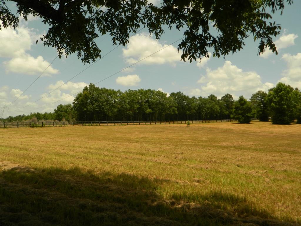 24375 Anglin Road Bush, LA 70431 - Photo 23 of 24 Gallery Image 23