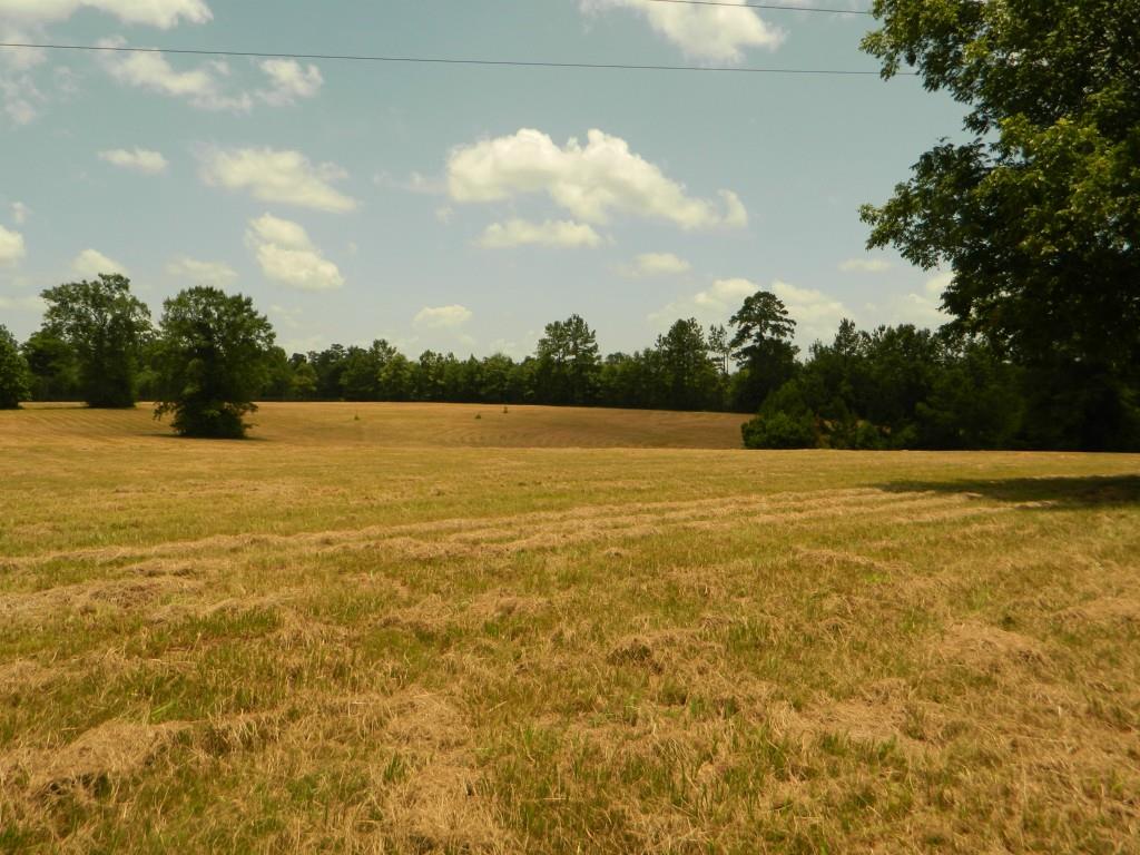 24375 Anglin Road Bush, LA 70431 - Photo 24 of 24 Gallery Image 24