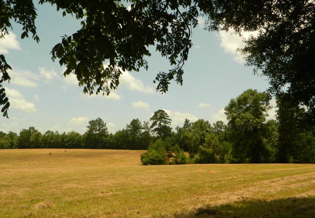24375 Anglin Road Bush, LA 70431 - Photo 3 of 24 Gallery Image 3