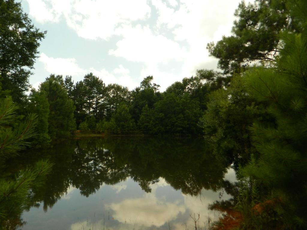 24375 Anglin Road Bush, LA 70431 - Photo 4 of 24 Gallery Image 4