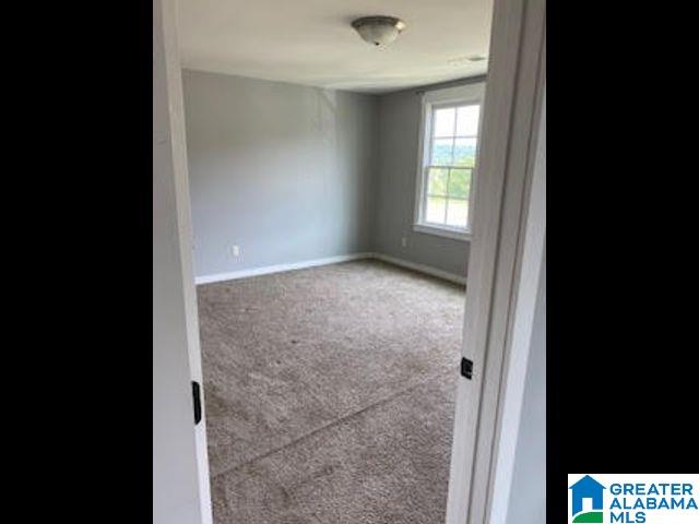 110 Pine Street Pell City, AL 35125 - Photo 38 of 50