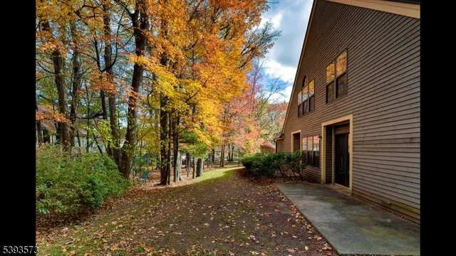 a view of a yard with a tree