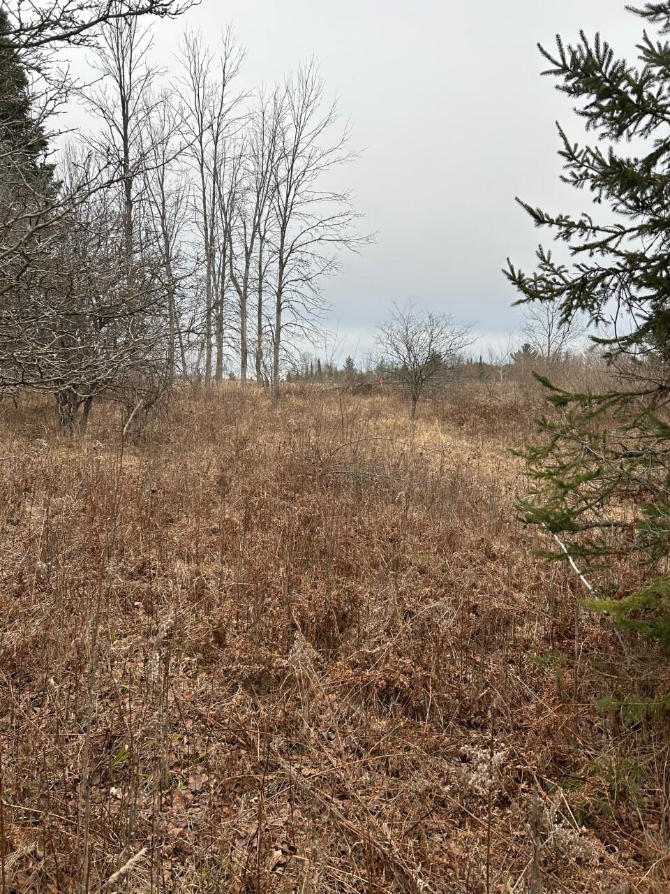 -vl Beach Road Prescott, MI 48756 - Photo 3 of 11 thumbnail_IMG_7412