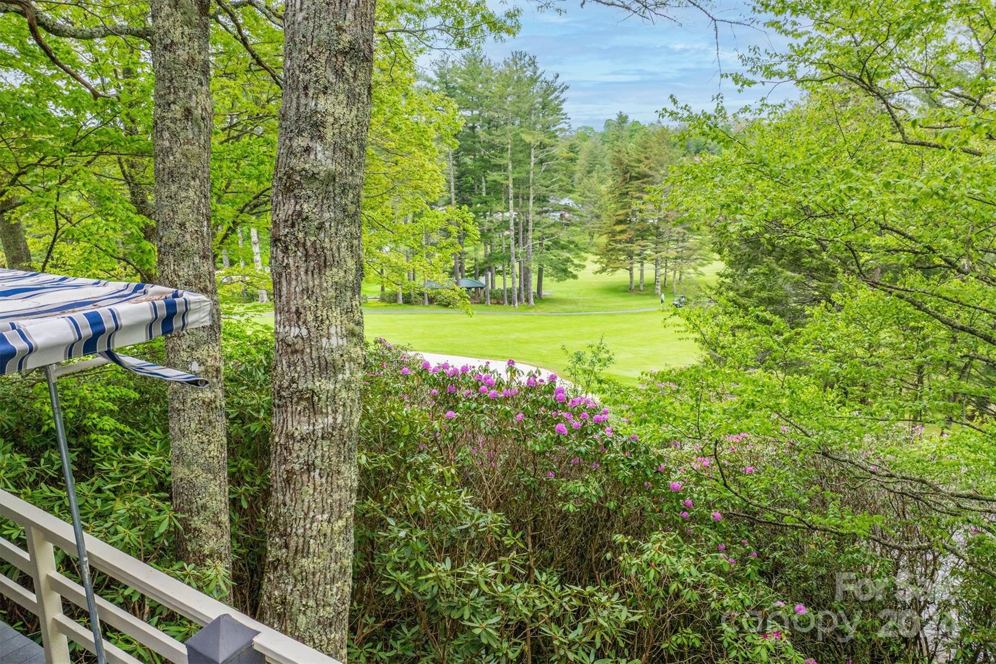 446 Lakeview Road, Unit 42 Newland, NC 28657 - Photo 8 of 48 Gallery Image 8