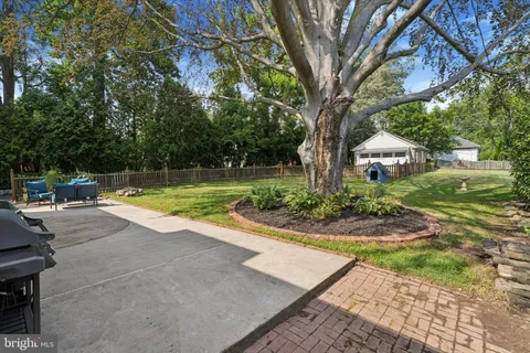 a view of a yard with plants and a large tree