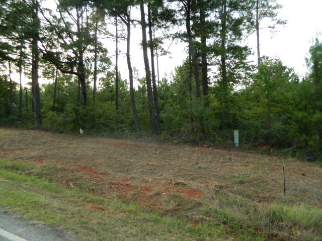 74 Highway 74 Macon, GA 31220 - Photo 1 of 3 a view of a field with trees in the background