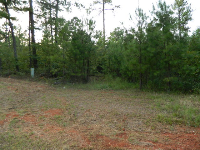 74 Highway 74 Macon, GA 31220 - Photo 2 of 3 a view of a forest with trees in the background