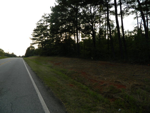 74 Highway 74 Macon, GA 31220 - Photo 3 of 3 a view of outdoor space and yard