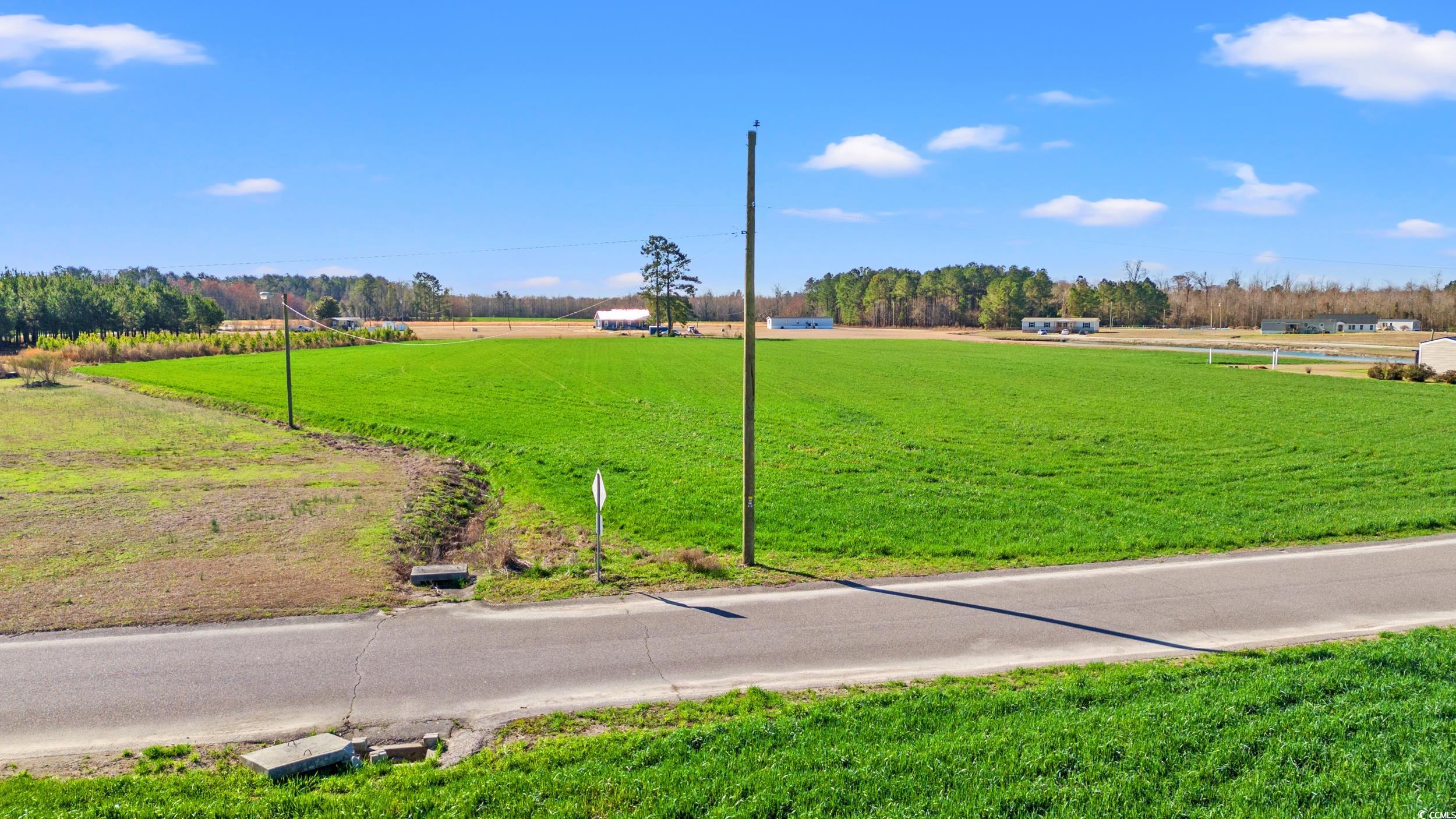 3289 Pioneer Road Conway, SC 29526 - Photo 2 of 7 View of street with a rural view