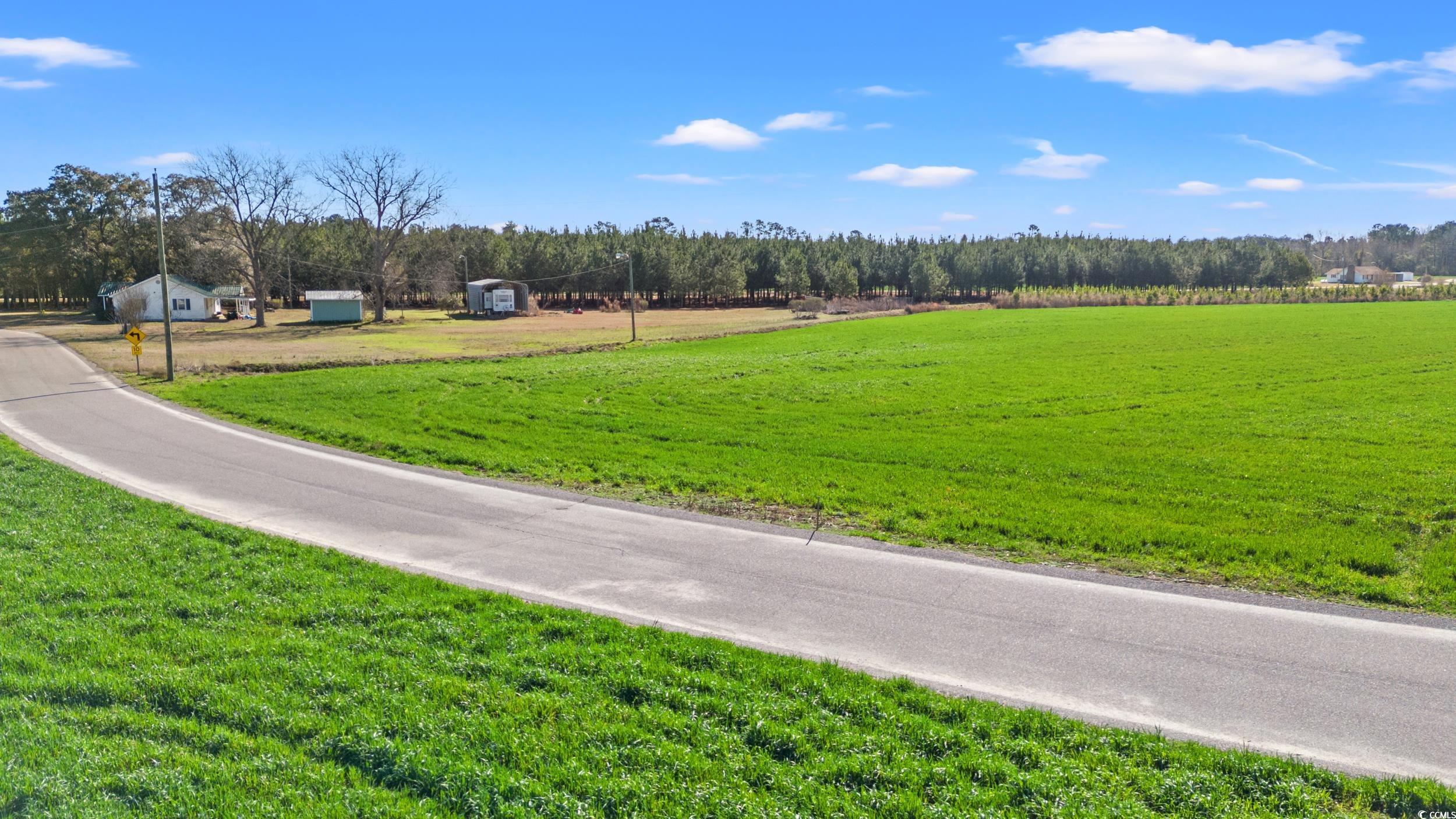 3289 Pioneer Road Conway, SC 29526 - Photo 3 of 7 View of road with a rural view