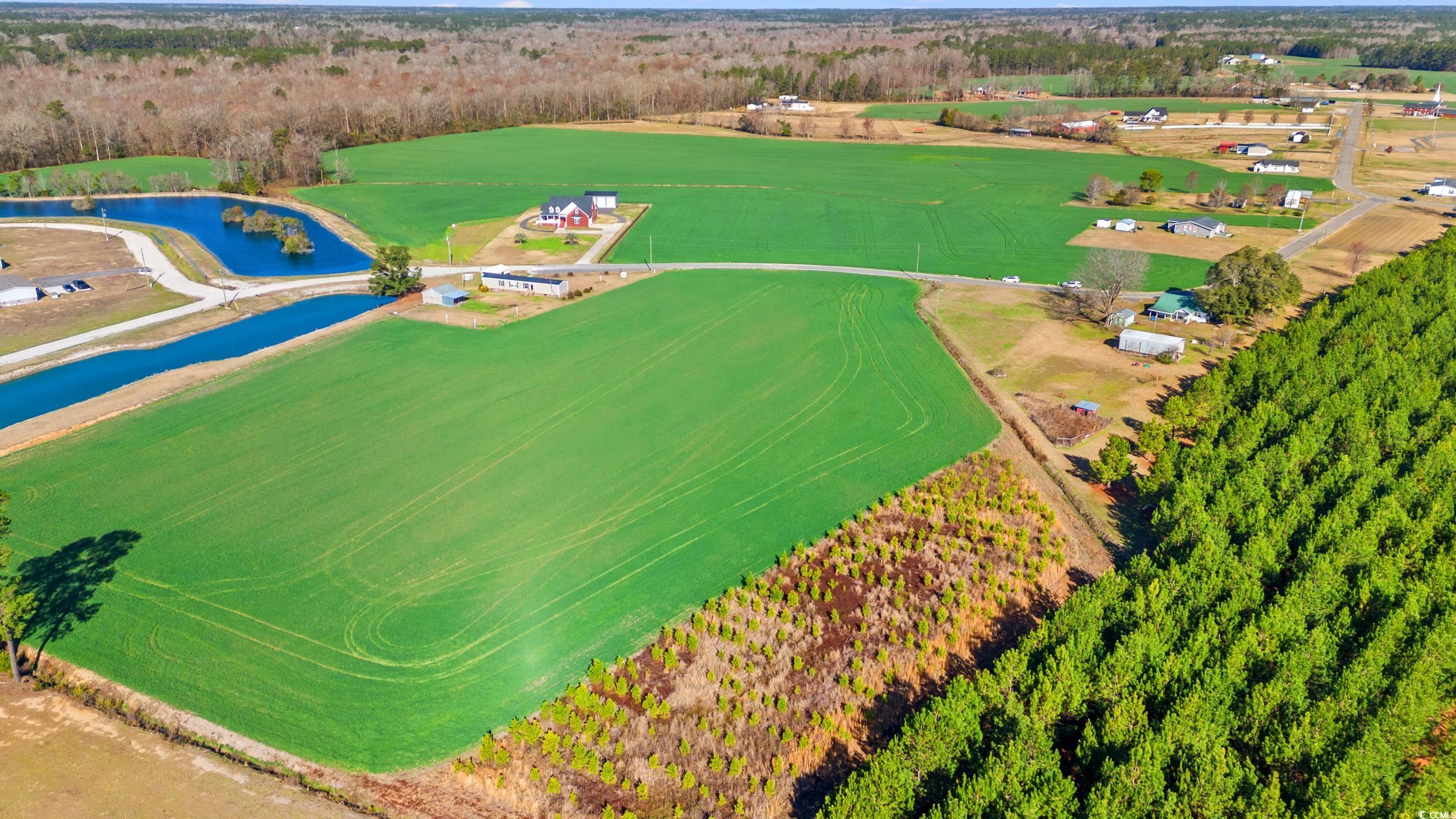 3289 Pioneer Road Conway, SC 29526 - Photo 4 of 7 Bird's eye view with a water view