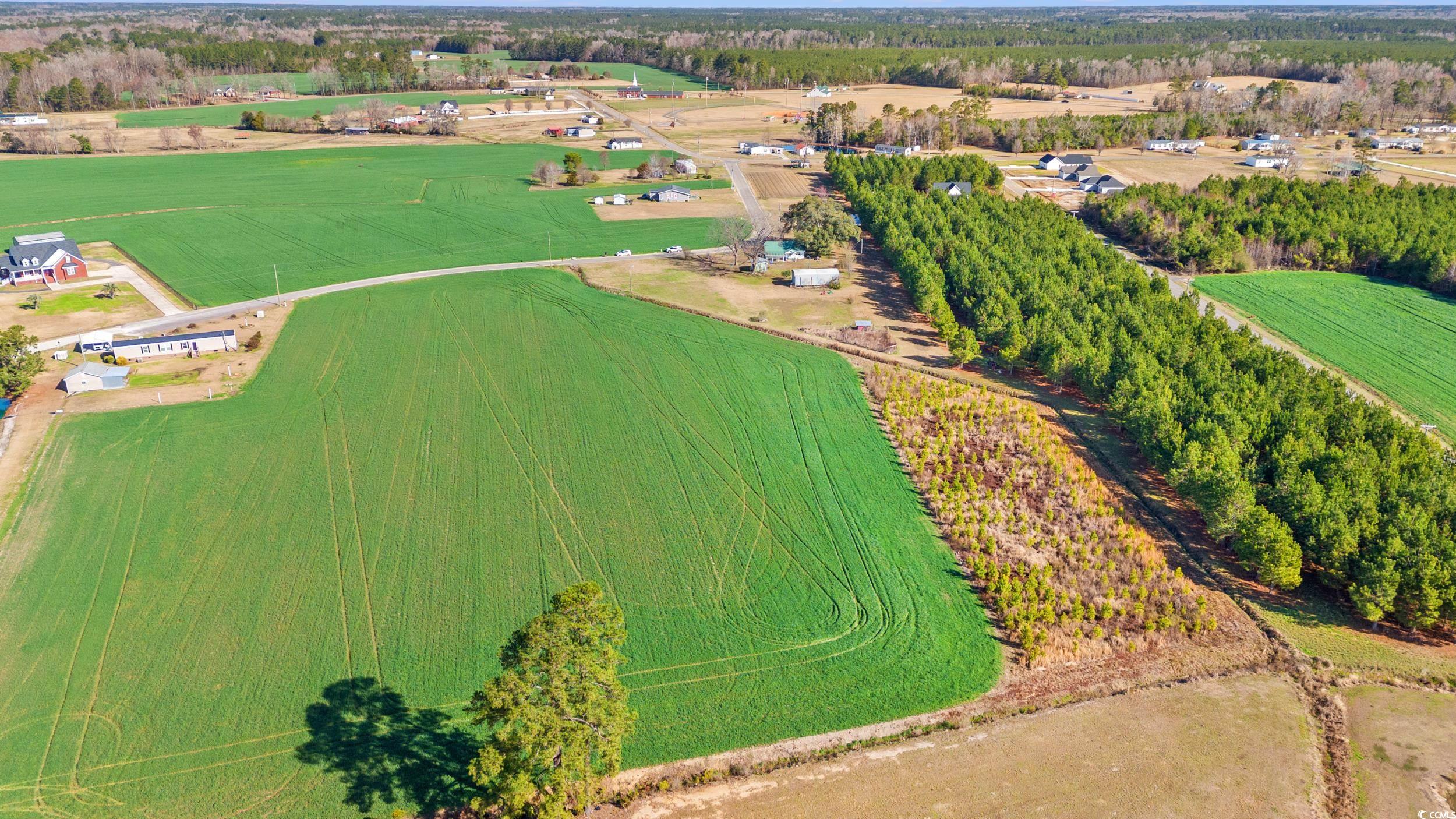 3289 Pioneer Road Conway, SC 29526 - Photo 5 of 7 Birds eye view of property featuring a rural view