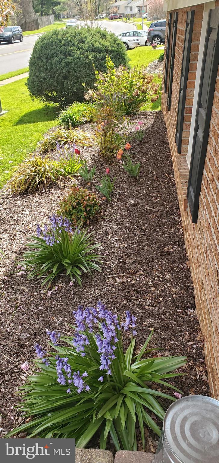 9078 Waltham Woods Road Baltimore, MD 21234 - Photo 34 of 38 Spring