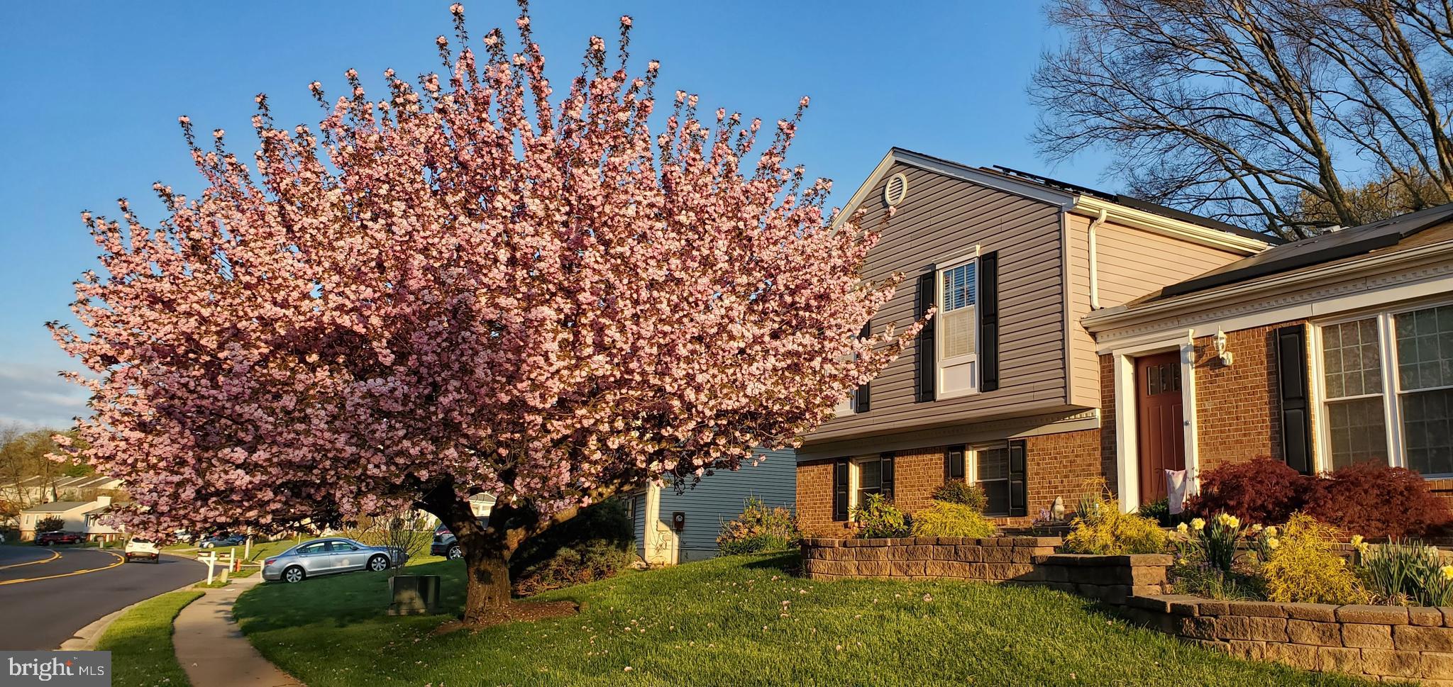 9078 Waltham Woods Road Baltimore, MD 21234 - Photo 4 of 38 Spring picture
