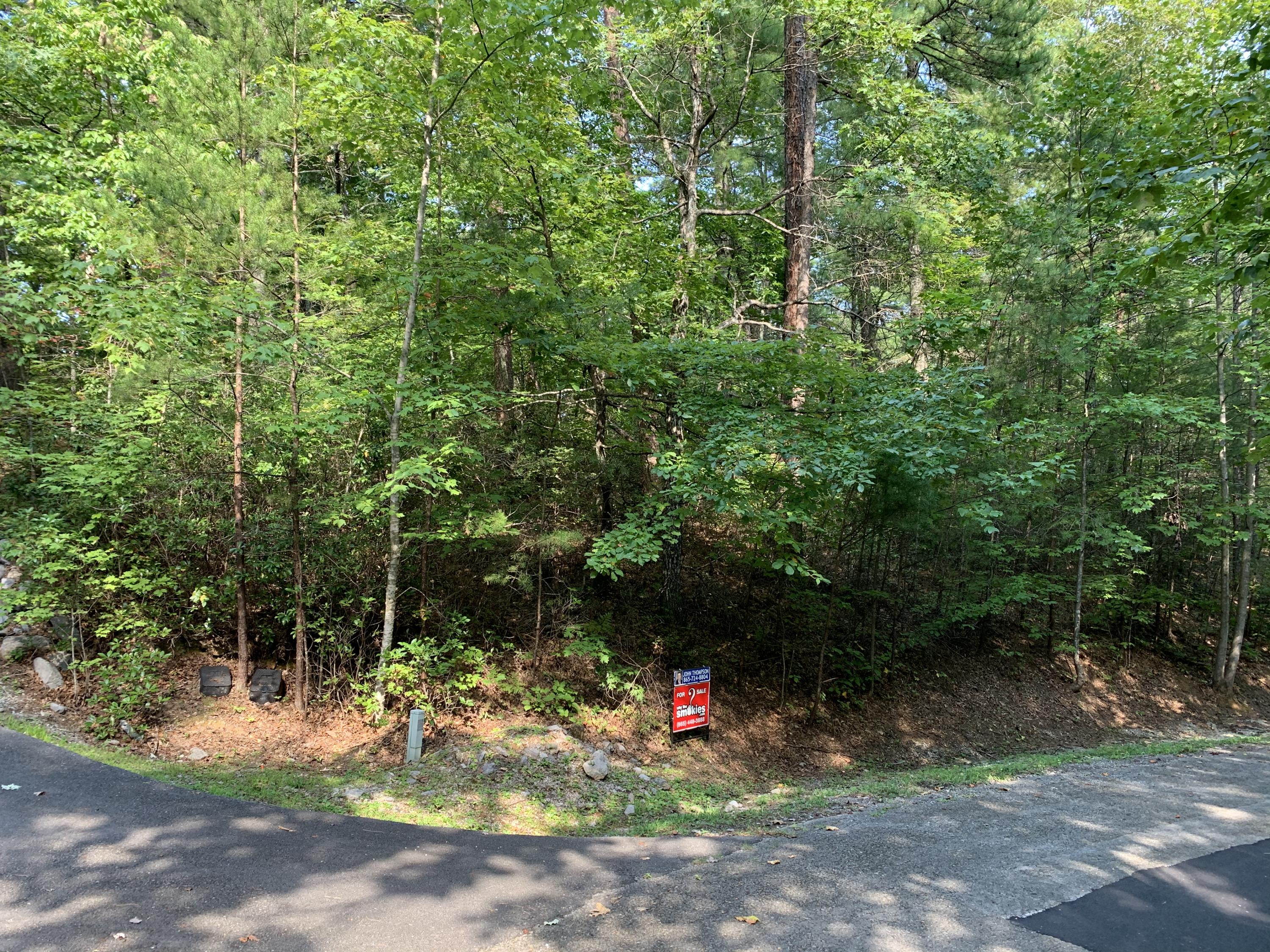 Cobblestone Way Townsend, TN 37882 - Photo 1 of 4 IMG_0190