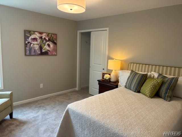 4543 Camp Road, Unit L90 Hamburg, NY 14075 - Photo 19 of 22