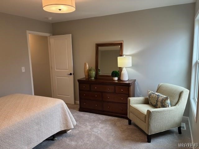 4543 Camp Road, Unit L90 Hamburg, NY 14075 - Photo 20 of 22