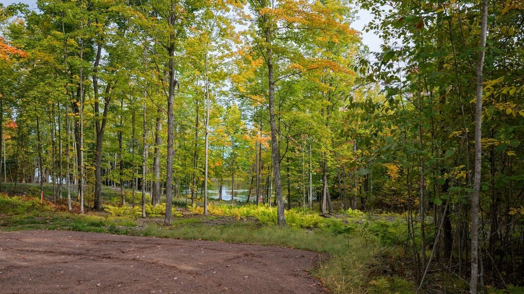 Lot 3 West Nelson Lake Road Hayward, WI 54843 - Photo 20 of 28 Gallery Image 20