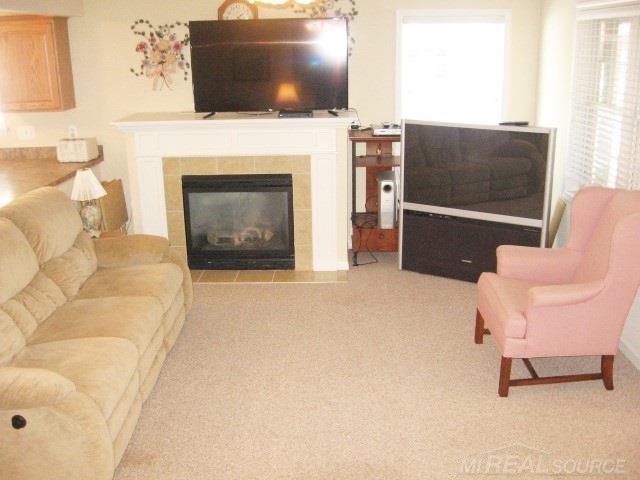 7314 Longfellow Road Lexington, MI 48450 - Photo 8 of 32 Gas Fireplace in the Living Room