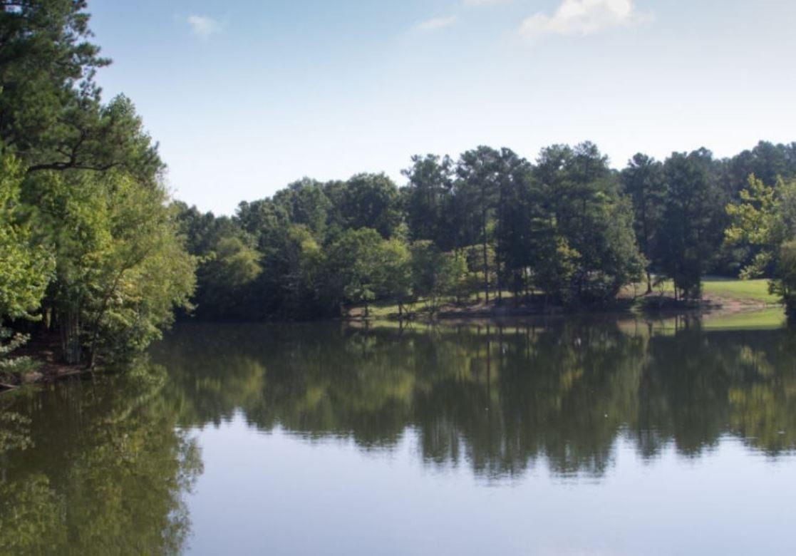 7112 Mapleside Lane Fairview, TN 37062 - Photo 43 of 49 a view of lake