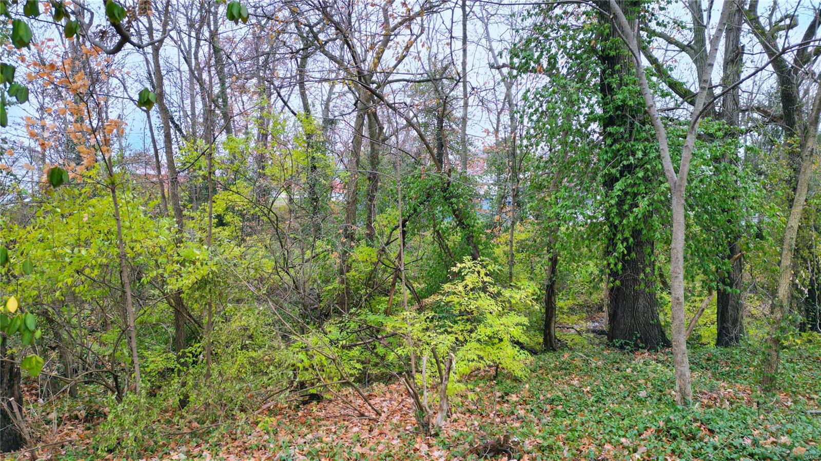 436 Rountree Street Hillsboro, IL 62049 - Photo 43 of 46 Gallery Image 43