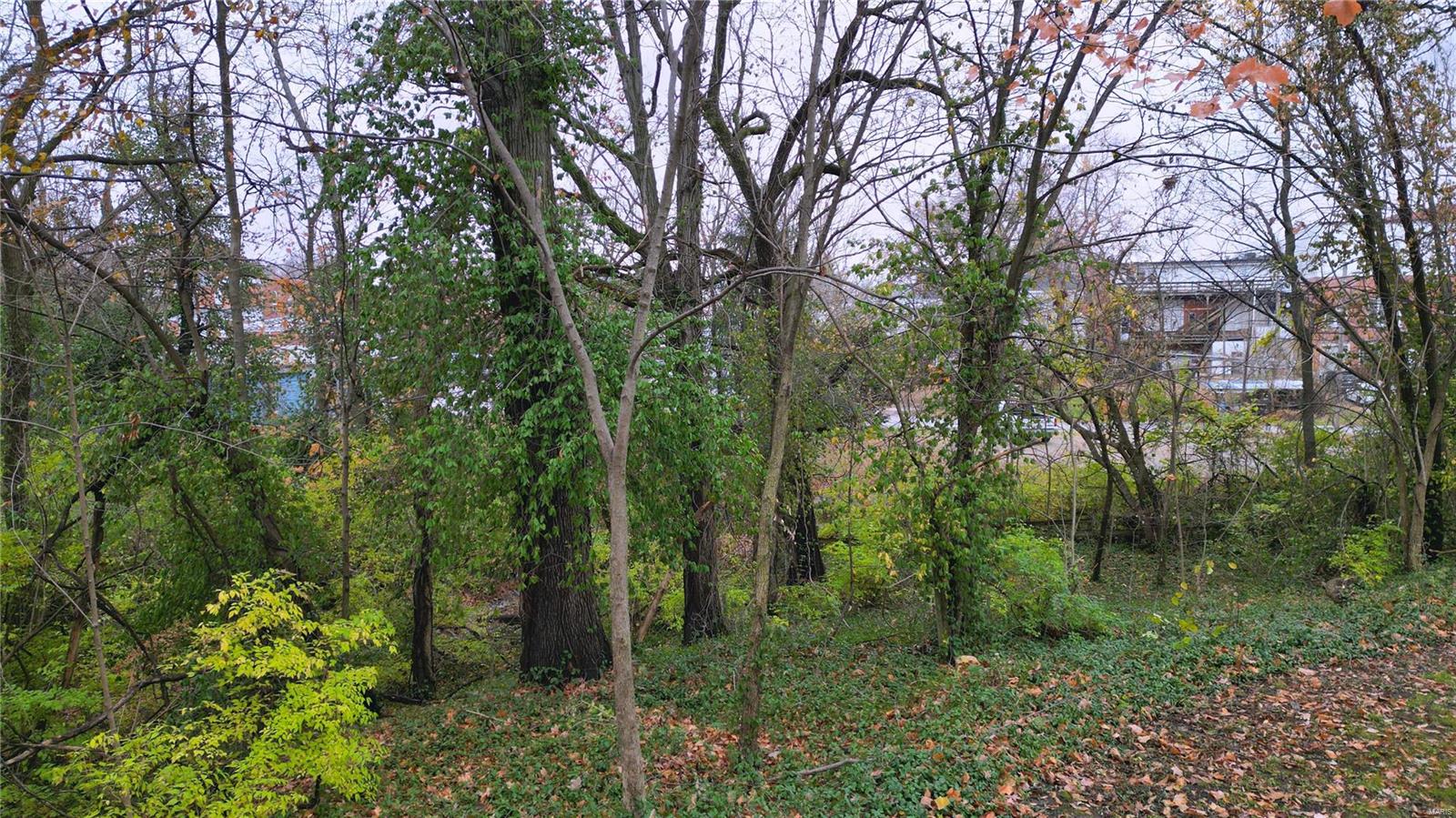 436 Rountree Street Hillsboro, IL 62049 - Photo 44 of 46 Gallery Image 44