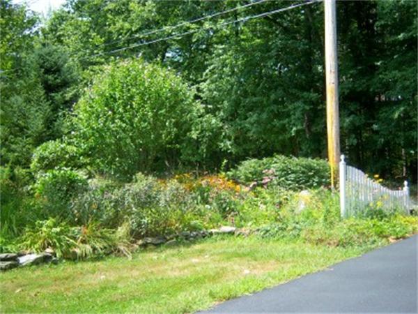 15 Squareshire Road Sterling, MA 01564 - Photo 26 of 30 a view of a garden with plants