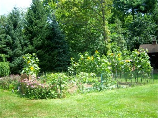 15 Squareshire Road Sterling, MA 01564 - Photo 27 of 30 a view of a garden