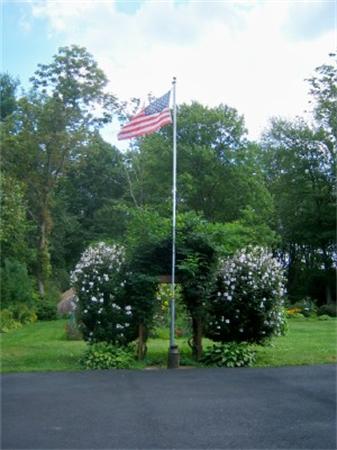 15 Squareshire Road Sterling, MA 01564 - Photo 4 of 30 a green field with lots of flowers in it