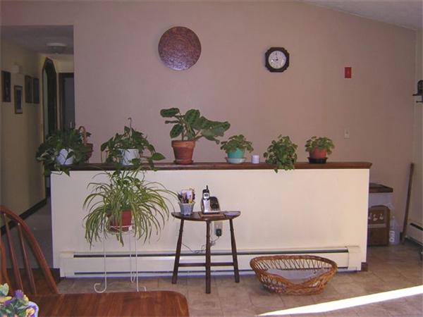 15 Squareshire Road Sterling, MA 01564 - Photo 8 of 30 a view of living room with furniture and a potted plant