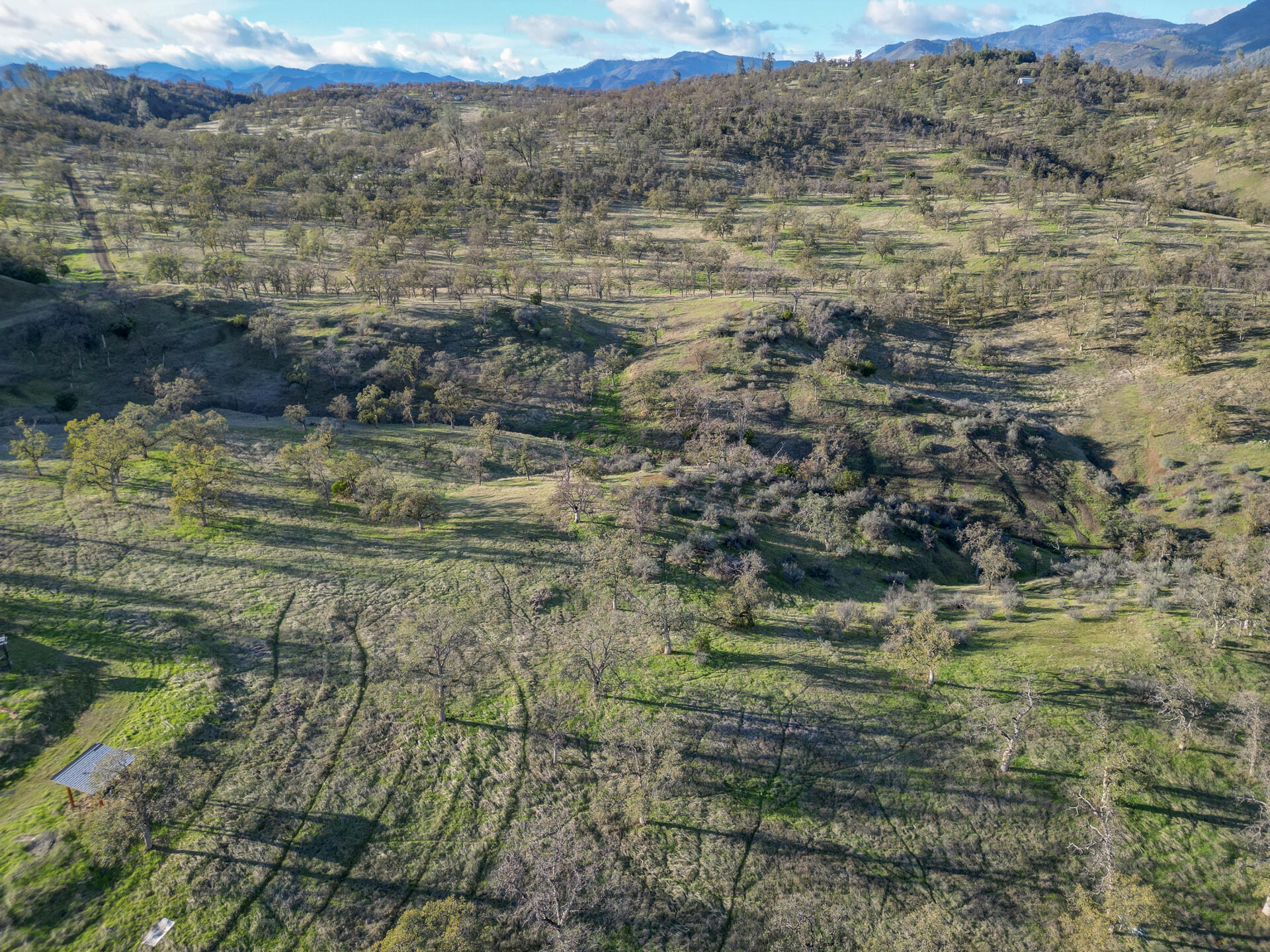 0 Straight Arrow Road Igo, CA 96047 - Photo 3 of 12 StraightArrowroadProperty-3