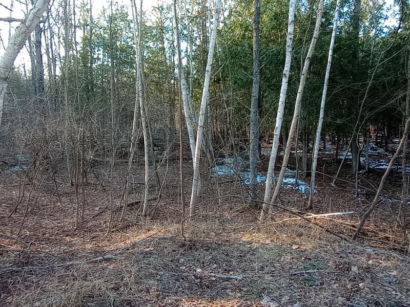 Lot 5 Castleview Gladwin, MI 48624 - Photo 7 of 9