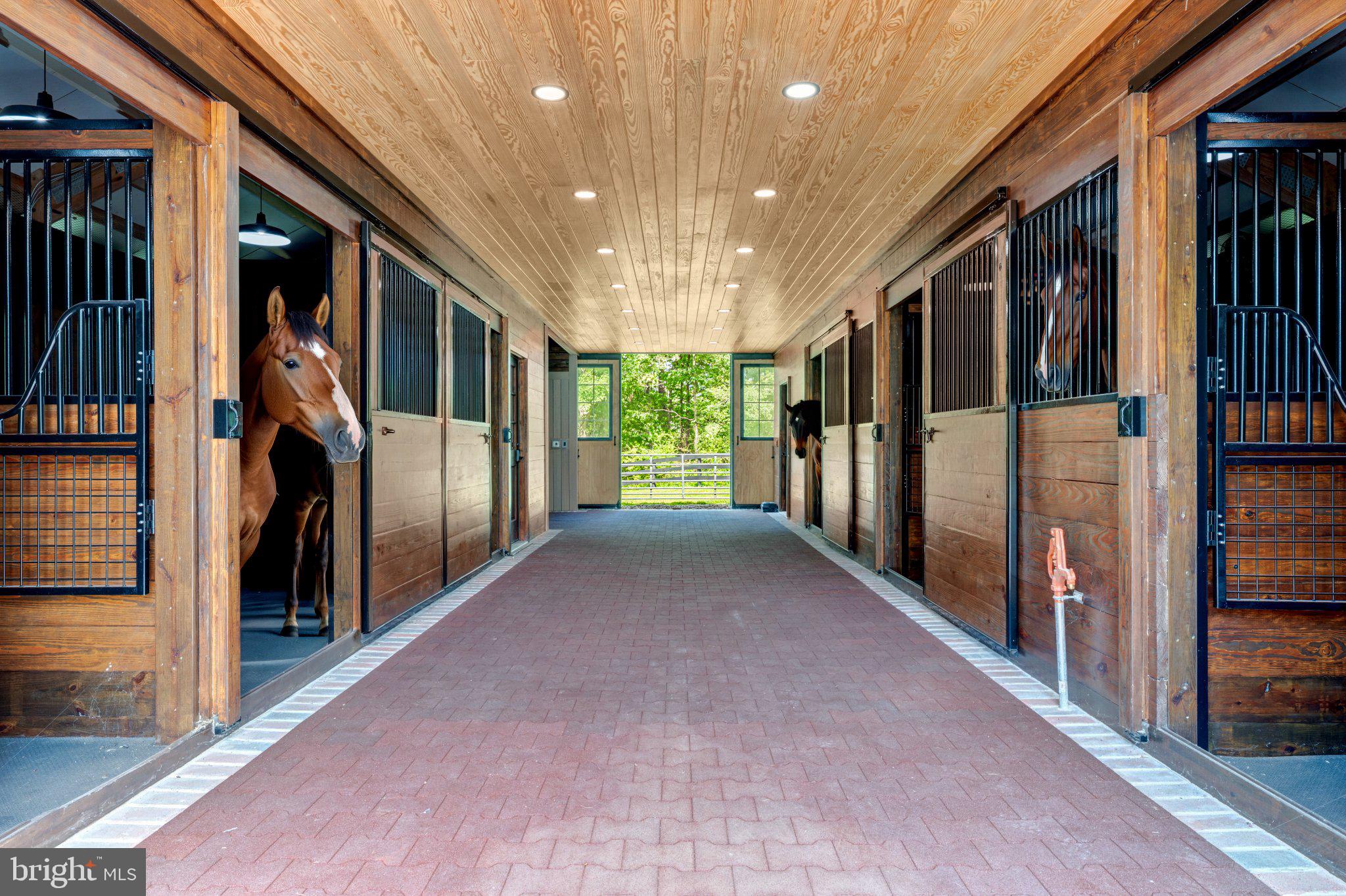 5352 Dixons Mill Road Marshall, VA 20115 - Photo 46 of 56 Fully renovated stable interior