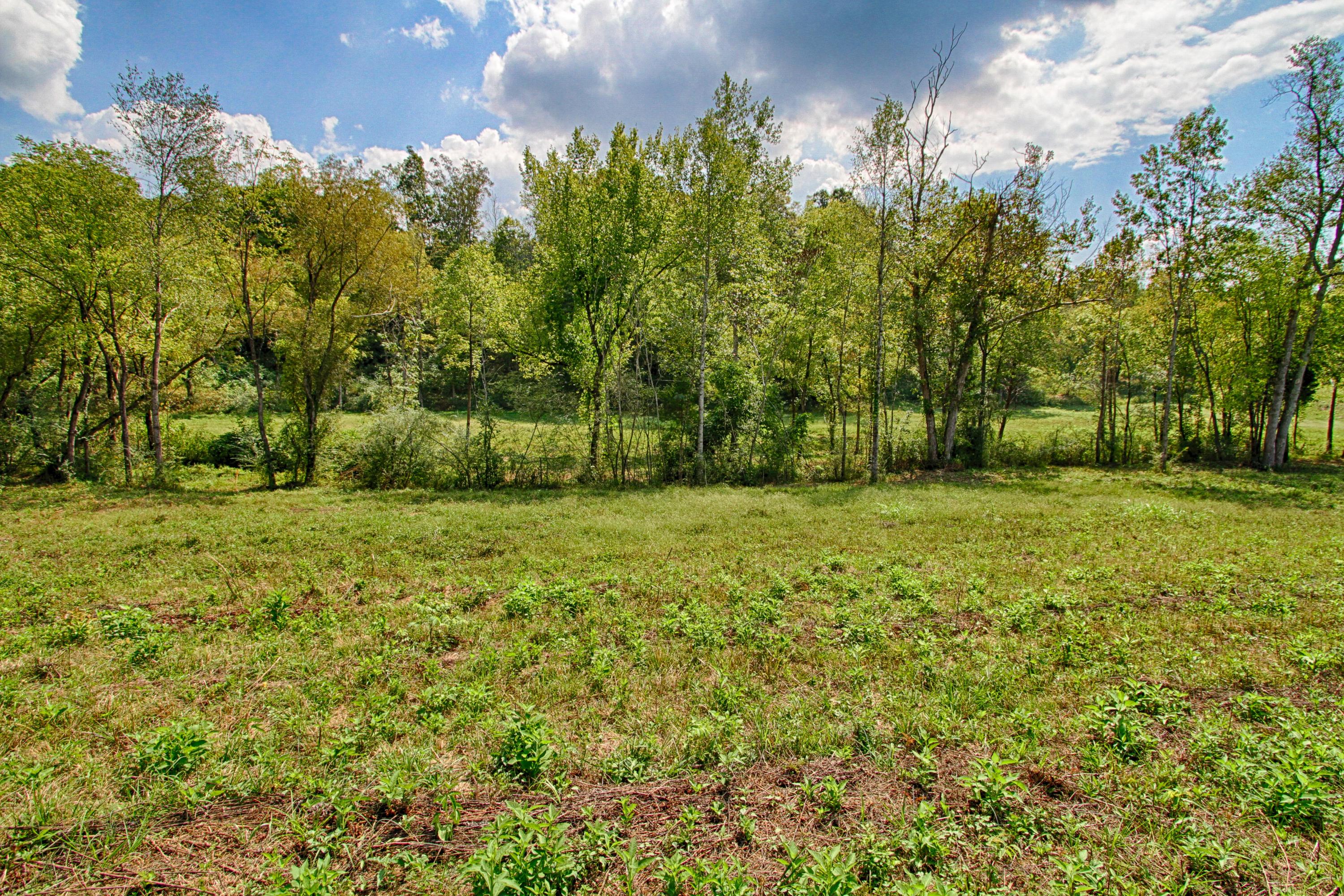 West Wolf Valley Road Clinton, TN 37716 - Photo 1 of 7 IMG_0419_HDR