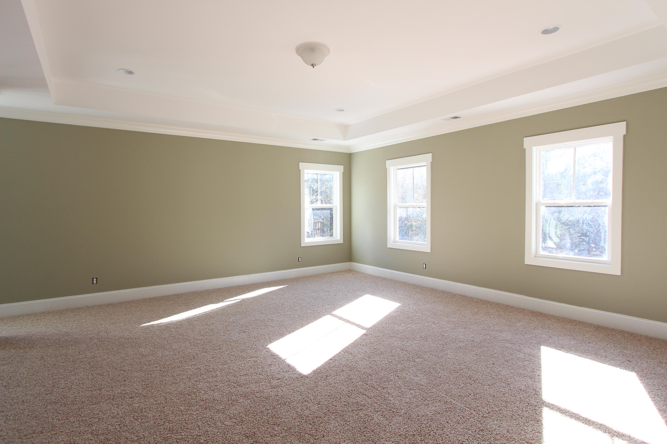 3658 Coastal Crab Road Mount Pleasant, SC 29466 - Photo 33 of 57 Master Bedroom with Tray Ceilings