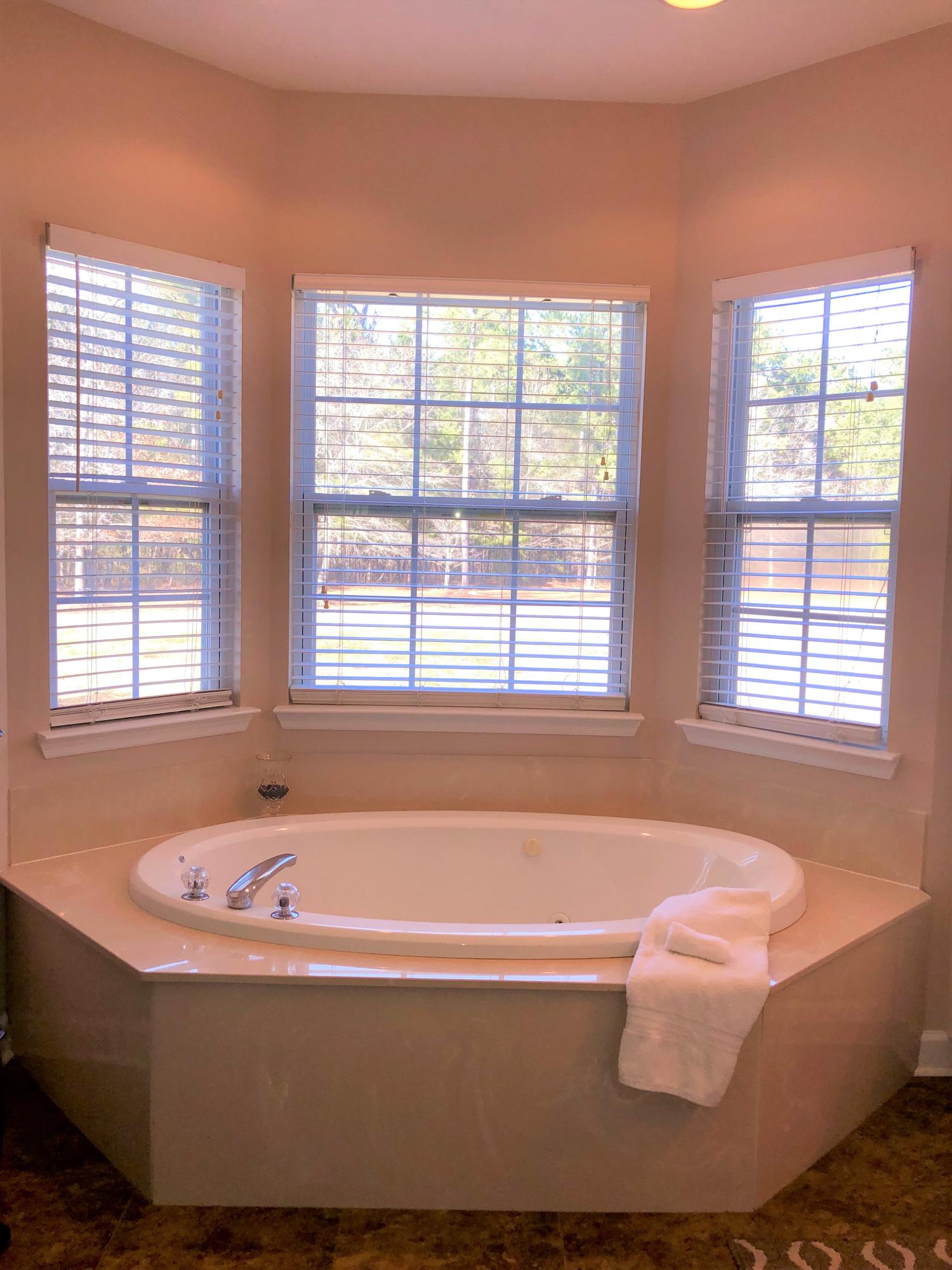 1084 Barnyard Road Bonneau, SC 29431 - Photo 29 of 37 IMG_3808