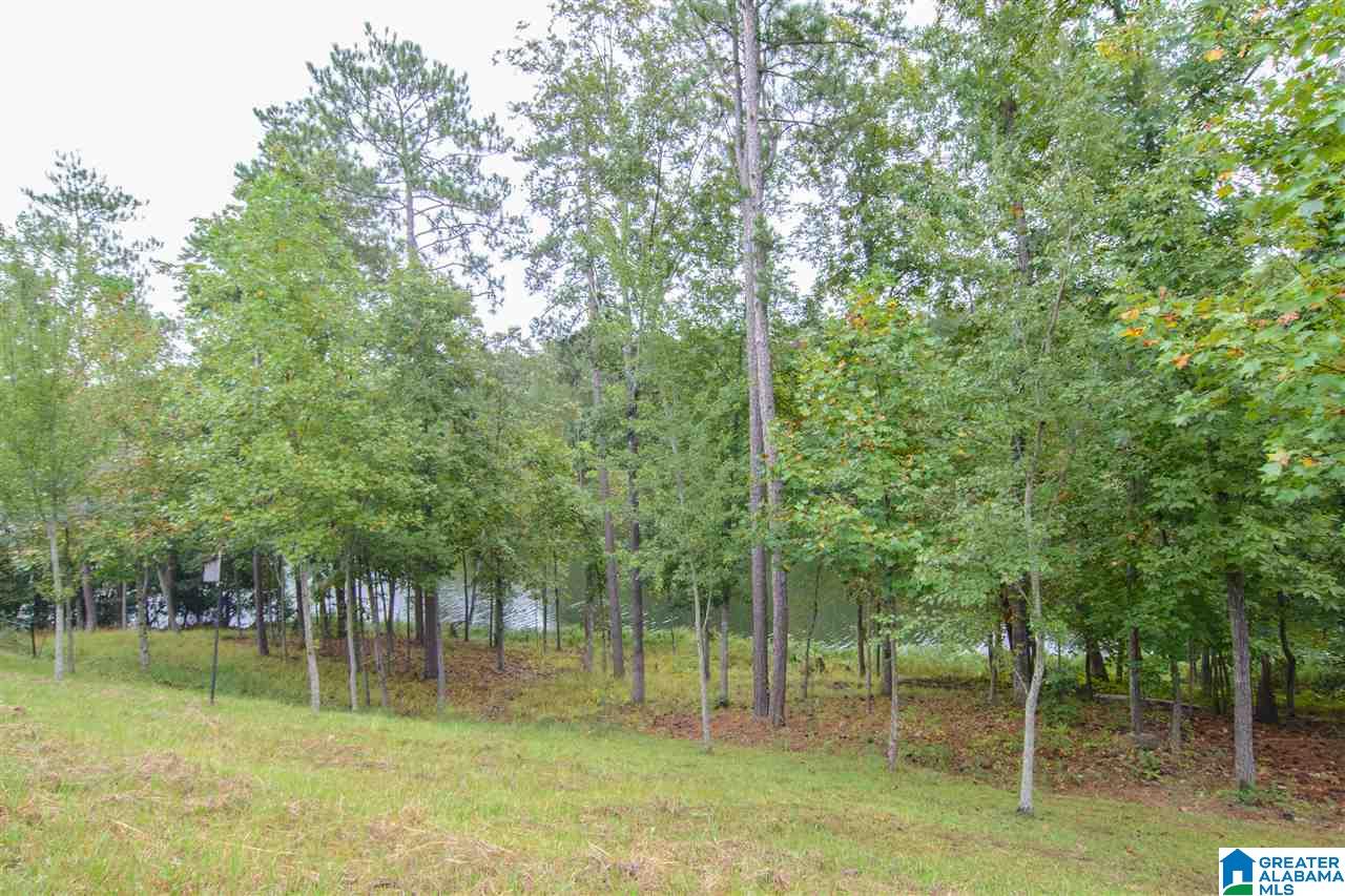 1300 Inverness Cove Drive Birmingham, AL 35242 - Photo 30 of 31