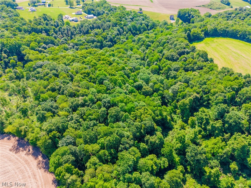 Ridge Road Minerva, OH 44657 - Photo 36 of 49
