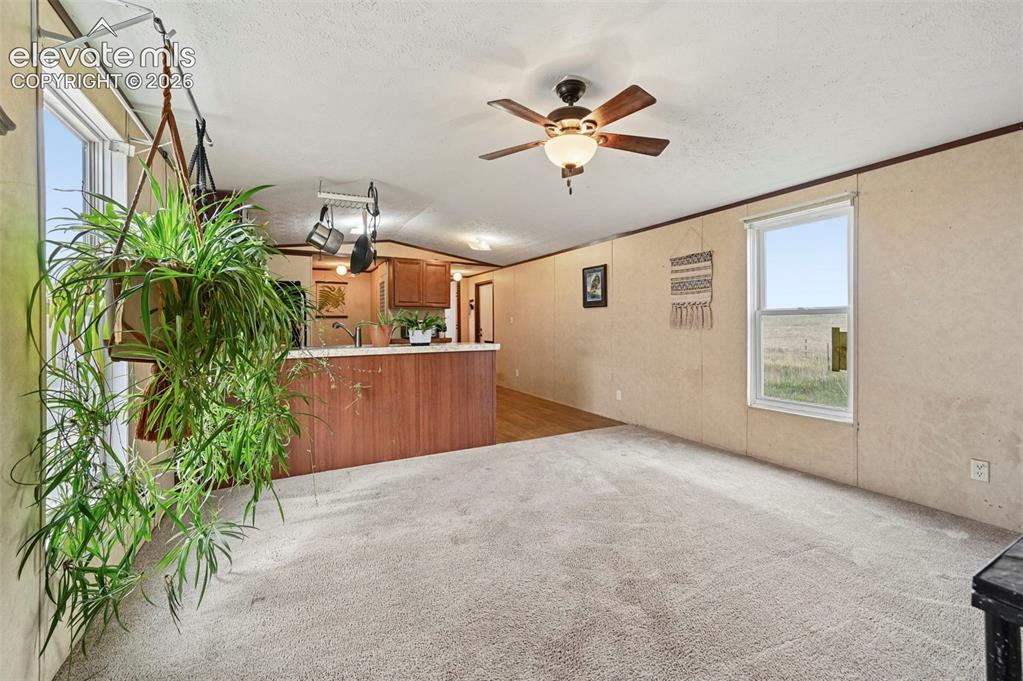 38115 Alta Vista Road Calhan, CO 80808 - Photo 8 of 32