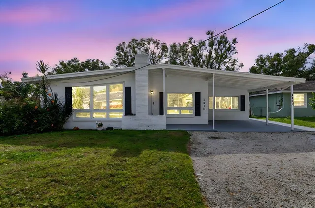 a view of a backyard with a garden and plants