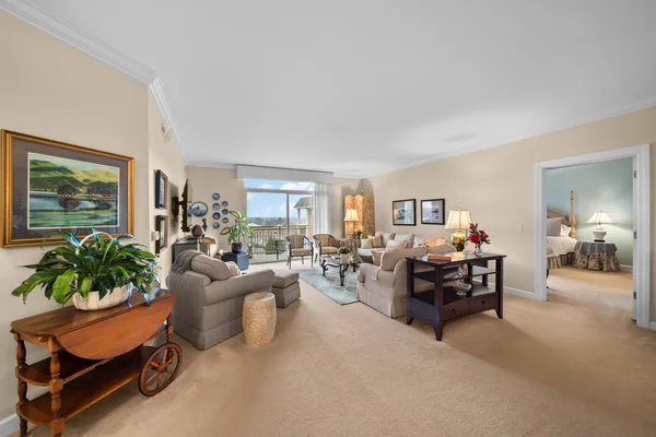 a living room with furniture potted plant and a window
