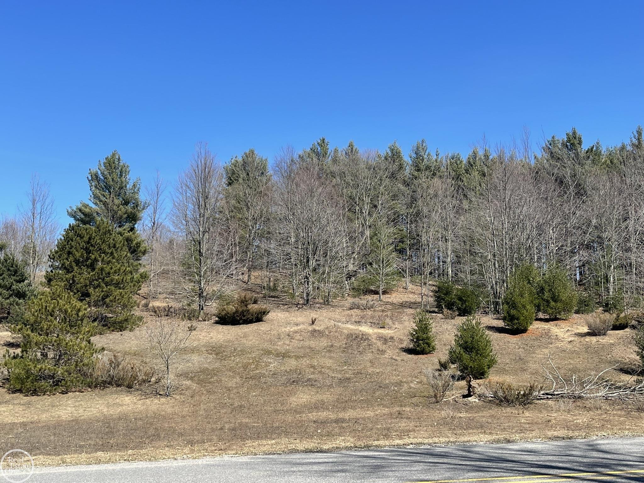 South Fritz Road Maple City, MI 49664 - Photo 8 of 14