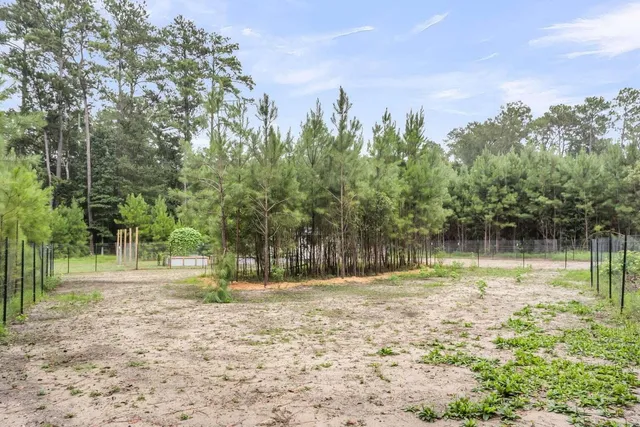 $35,000 | 0 Longleaf Drive, Walterboro, SC 29488