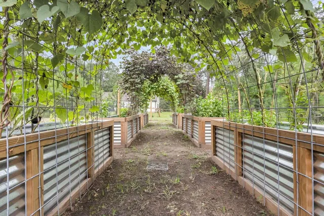 $35,000 | 0 Longleaf Drive, Walterboro, SC 29488