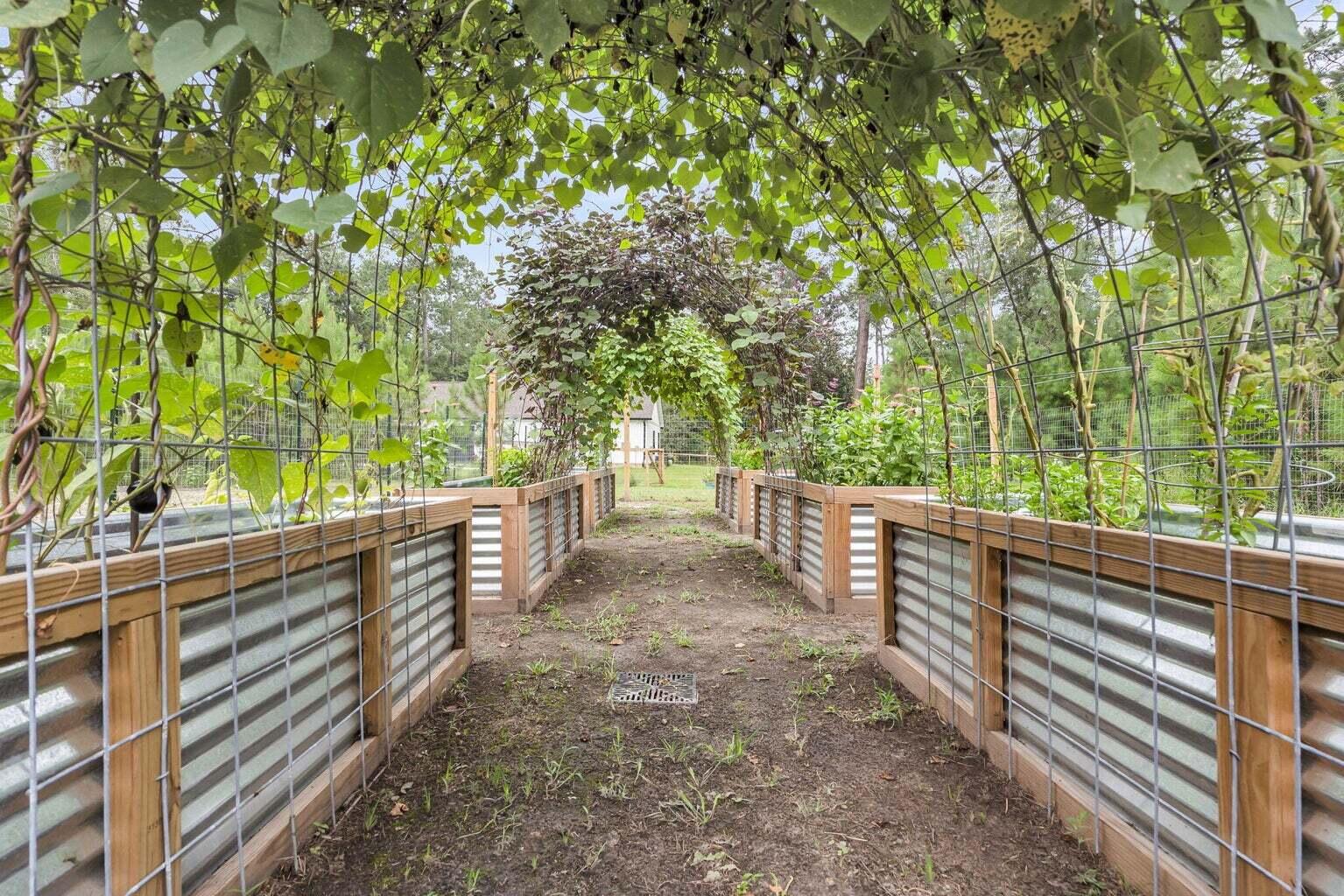 0 Longleaf Drive Walterboro, SC 29488 - Photo 5 of 8 20260101161205545934000000-o