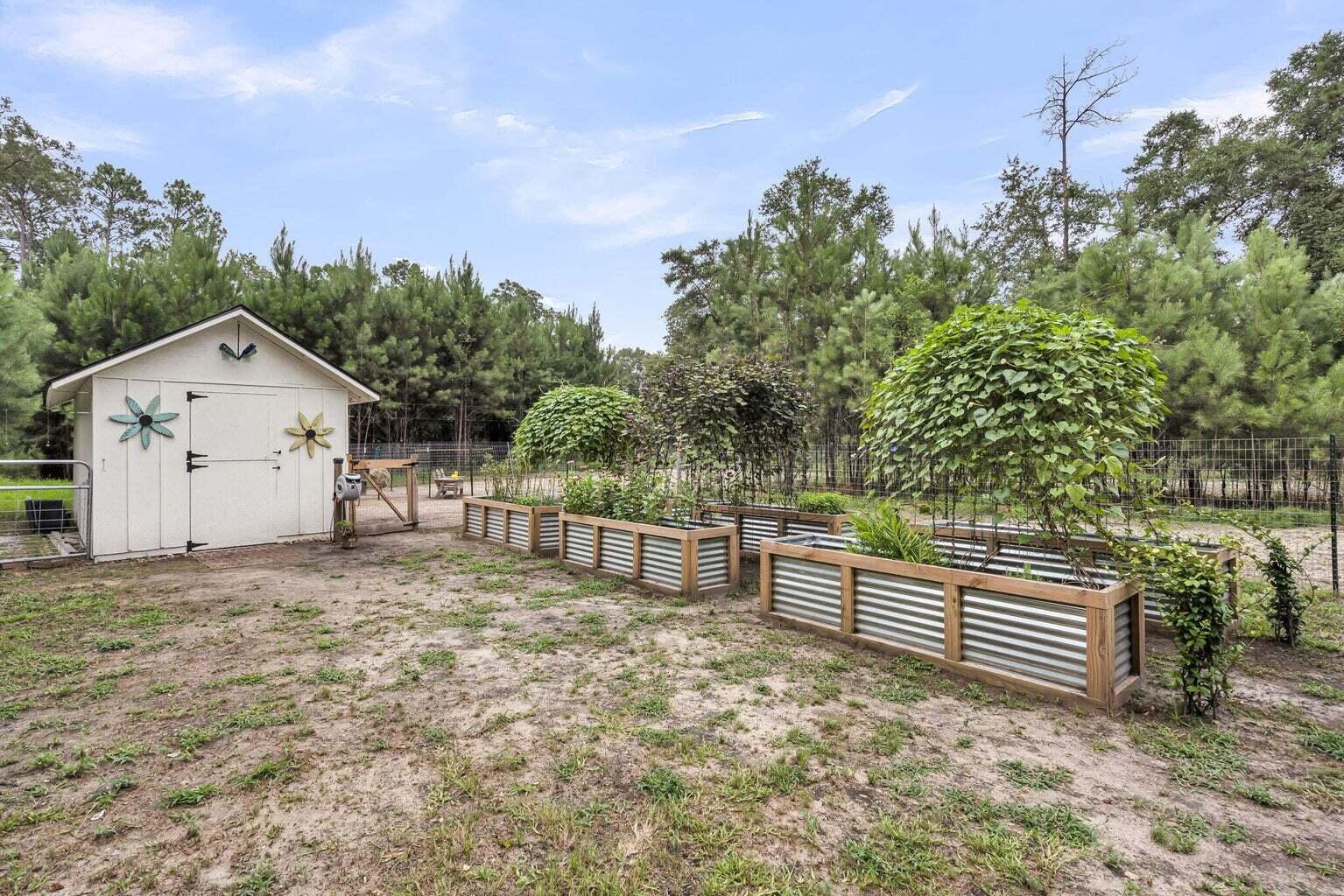 0 Longleaf Drive Walterboro, SC 29488 - Photo 6 of 8 20260101161205479923000000-o