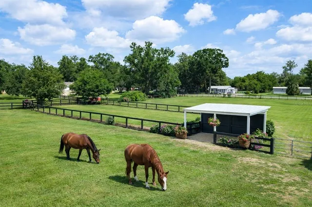 a view of a swimming pool with a yard