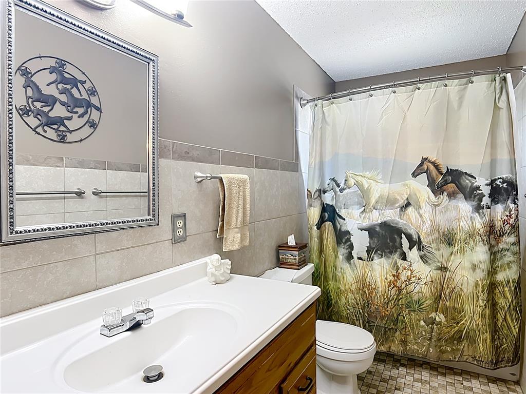 3040 Northeast 97th Street Road Anthony, FL 32617 - Photo 9 of 59