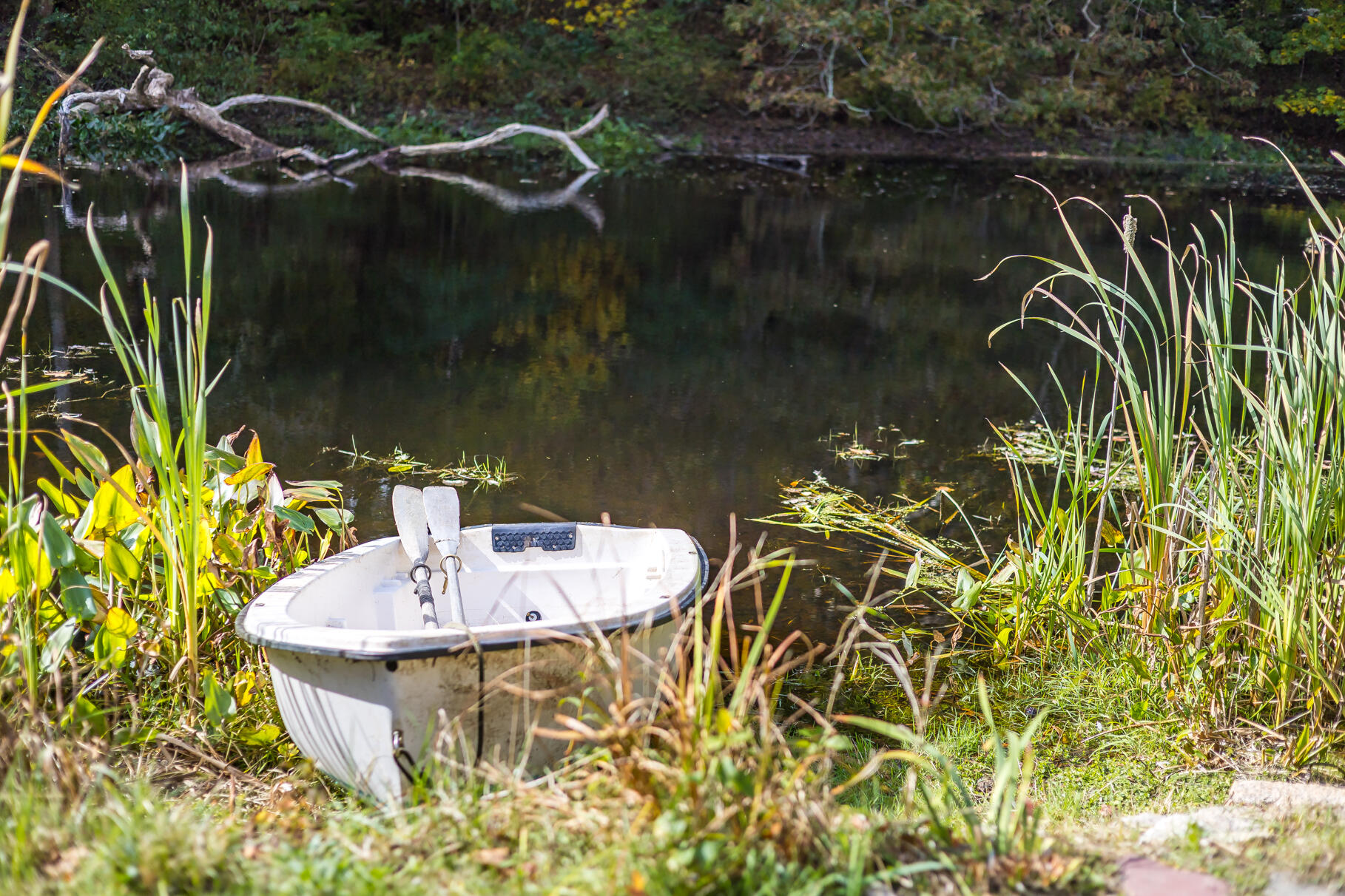 111 Main Street Sandwich, MA 02563 - Photo 57 of 75 Pond